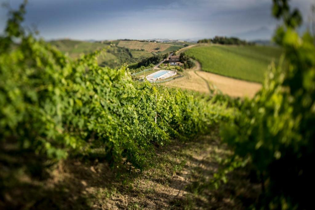 Casali Costadoro Acquaviva Picena Exterior photo